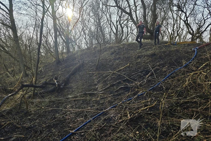 Brandweer zet veel materieel in voor duinbrand