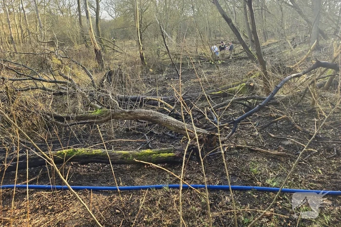 Brandweer zet veel materieel in voor duinbrand