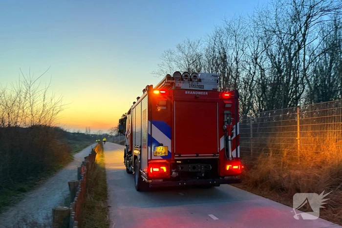 Grote brandweerinzet voor brandende kerstbomen in duingebied
