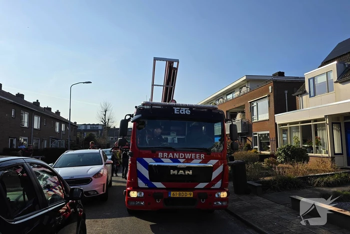 Coco veilig terug bij baasje