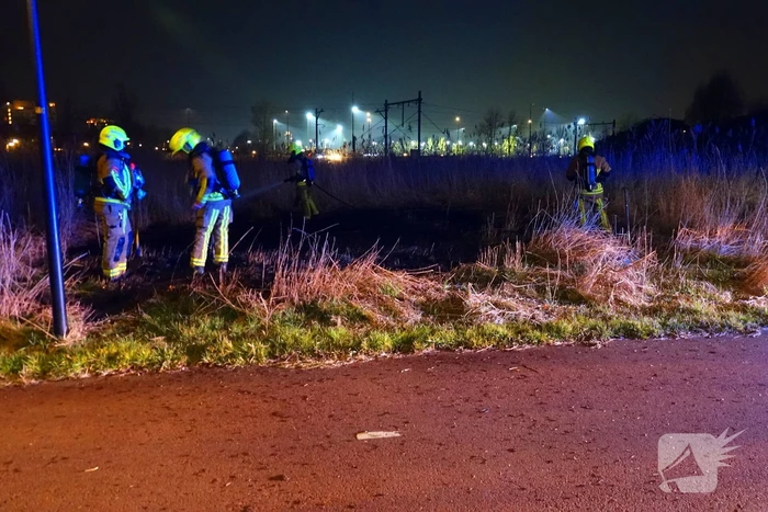 Brand in rietkraag snel geblust