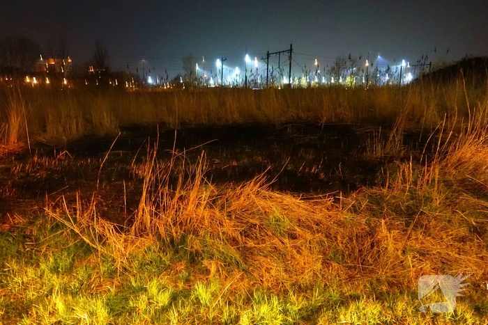 Brand in rietkraag snel geblust