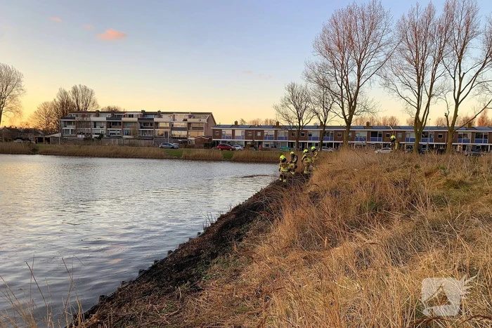 Winkelmedewerkers doen bluspoging bij rietbrand