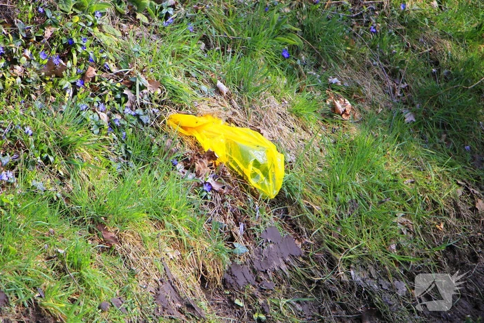 Gasleiding geraakt tijdens snoei werkzaamheden in sloot