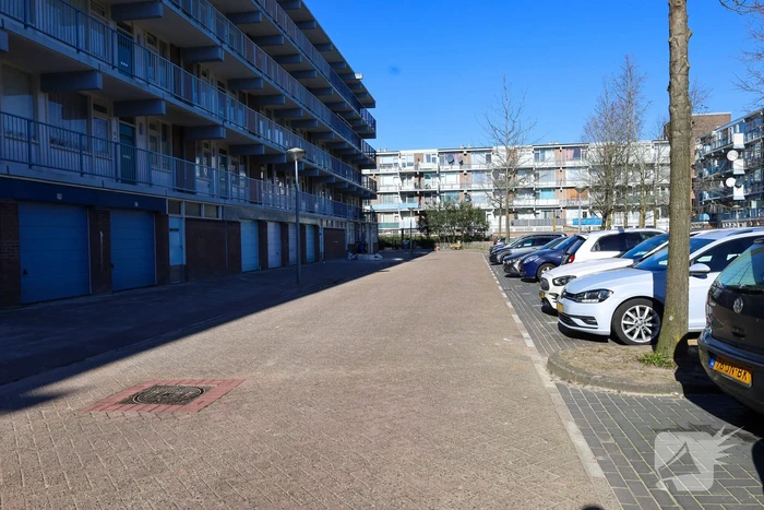 nieuws warnsborn amsterdam