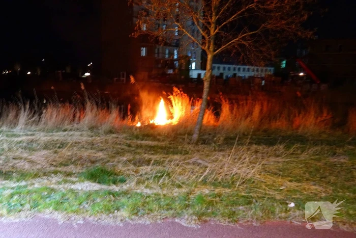brand zeesterpad beverwijk