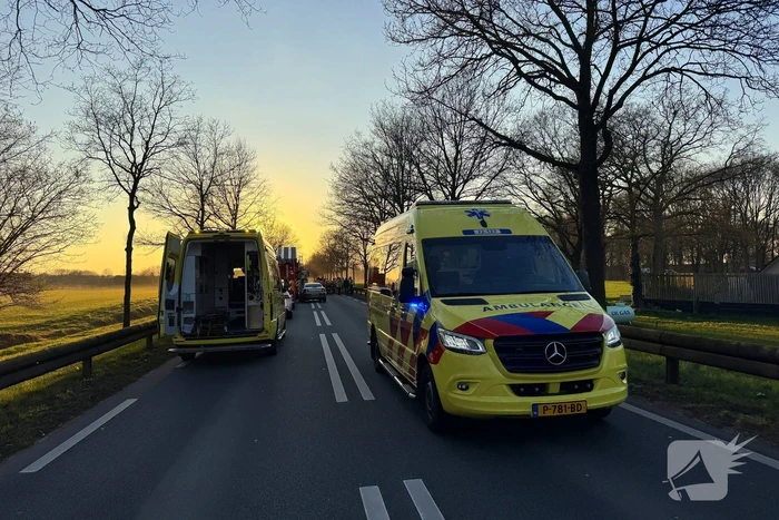 Hond komt om het leven bij aanrijding