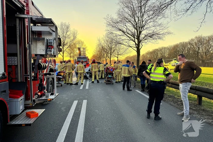 Hond komt om het leven bij aanrijding
