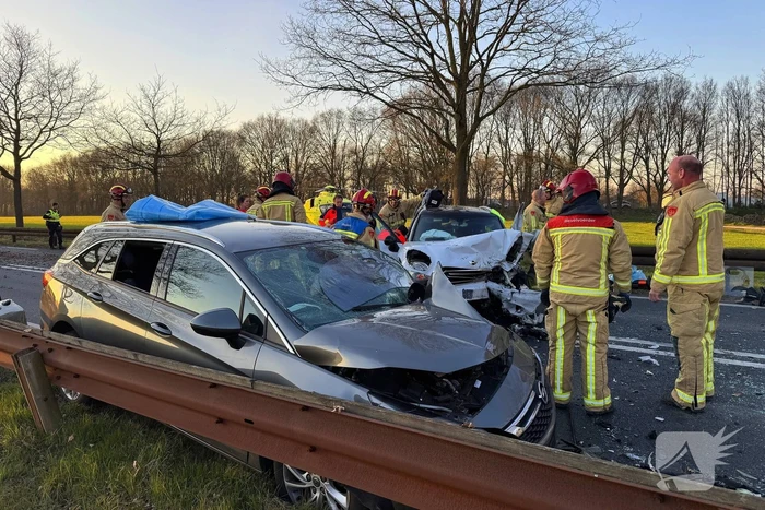 Hond komt om het leven bij aanrijding