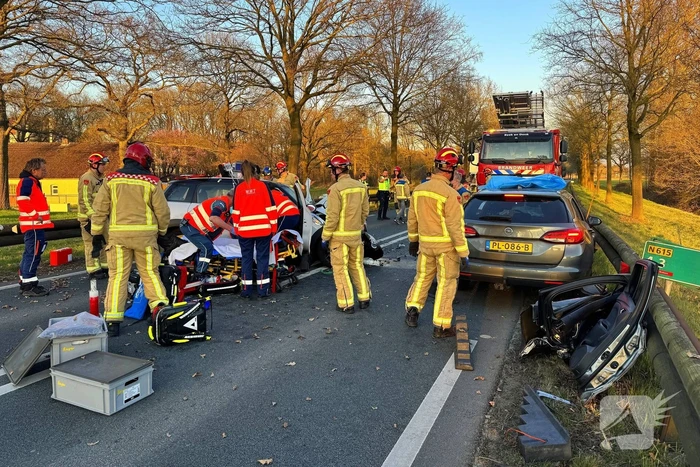 Hond komt om het leven bij aanrijding