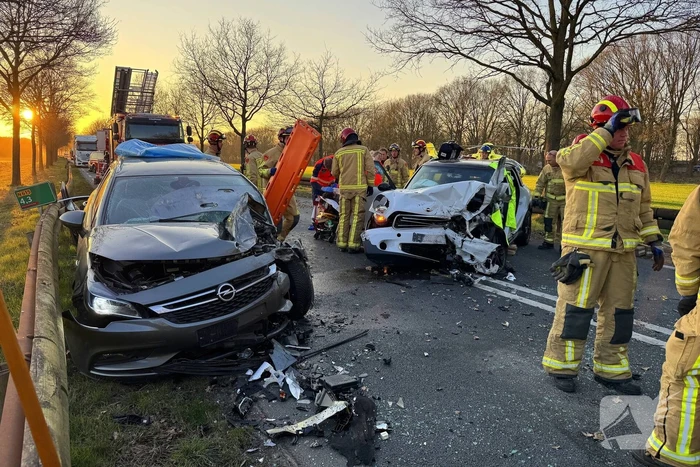 Hond komt om het leven bij aanrijding