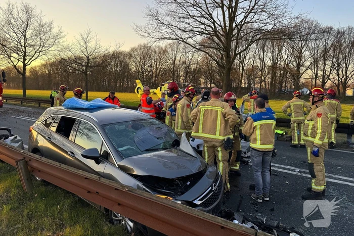 Hond komt om het leven bij aanrijding
