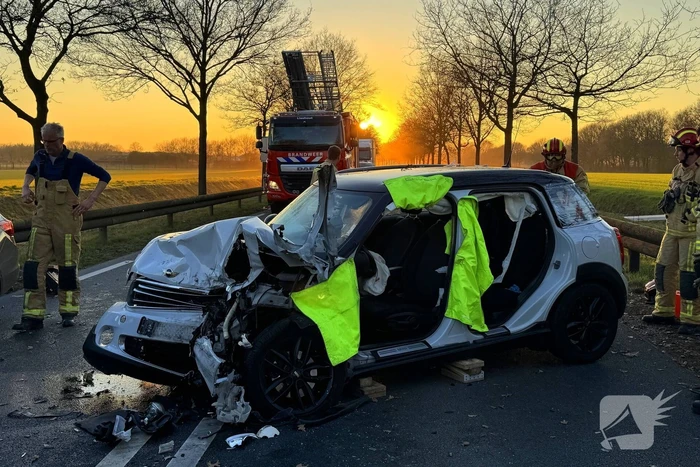 Hond komt om het leven bij aanrijding