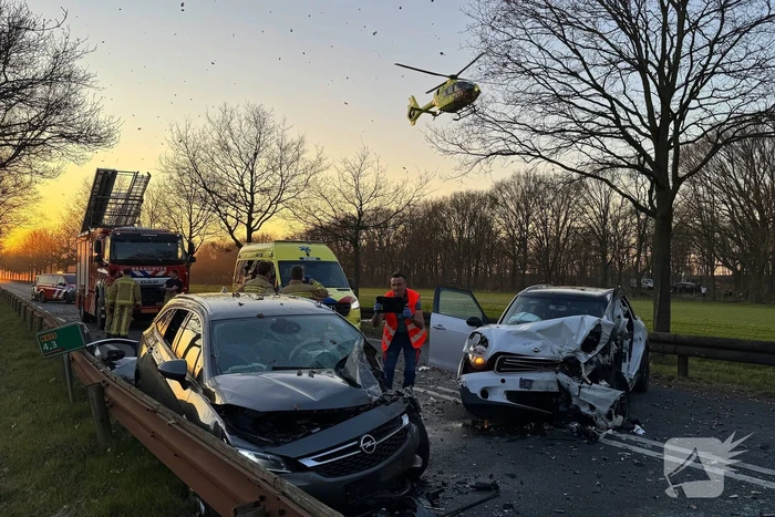 Hond komt om het leven bij aanrijding
