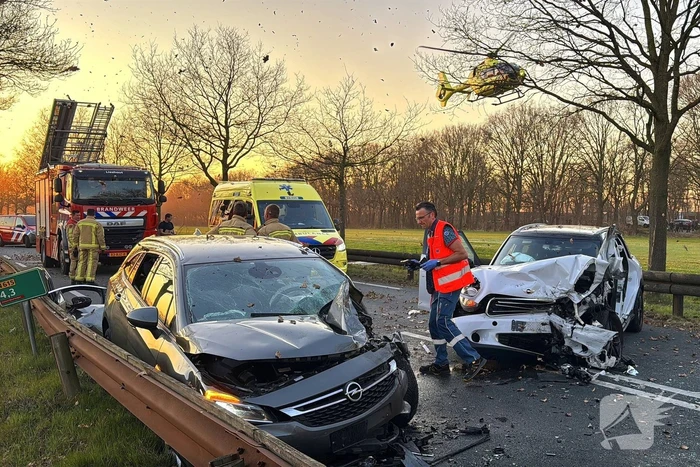 Hond komt om het leven bij aanrijding