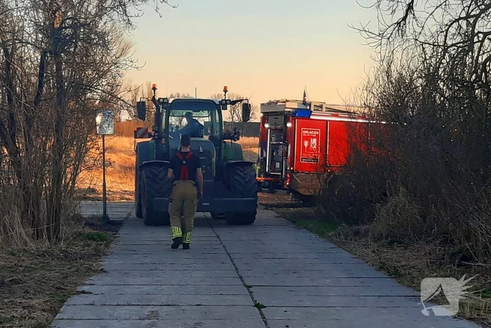 Brand in riet vermoedelijk opzettelijk aangestoken