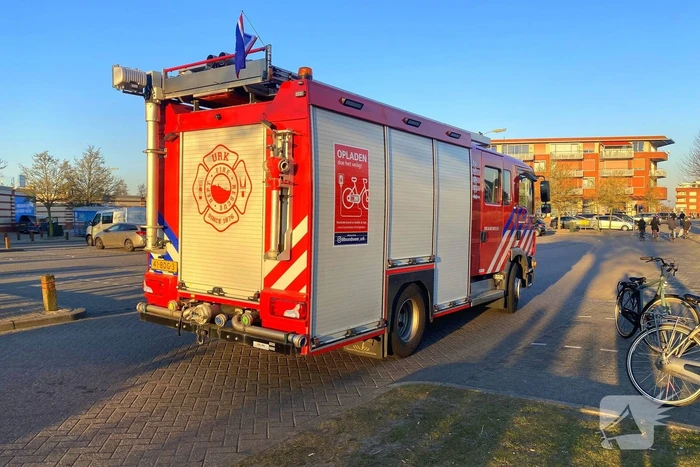 Brand in riet vermoedelijk opzettelijk aangestoken