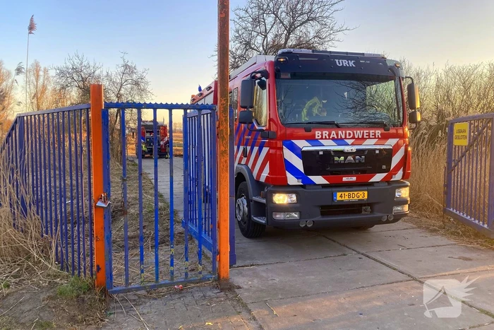 Brand in riet vermoedelijk opzettelijk aangestoken