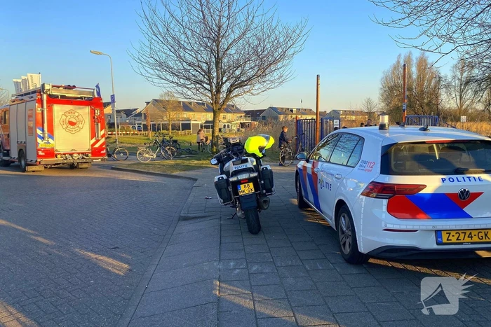 Brand in riet vermoedelijk opzettelijk aangestoken