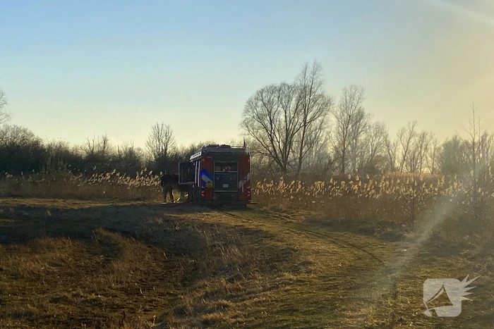 Brand in riet vermoedelijk opzettelijk aangestoken