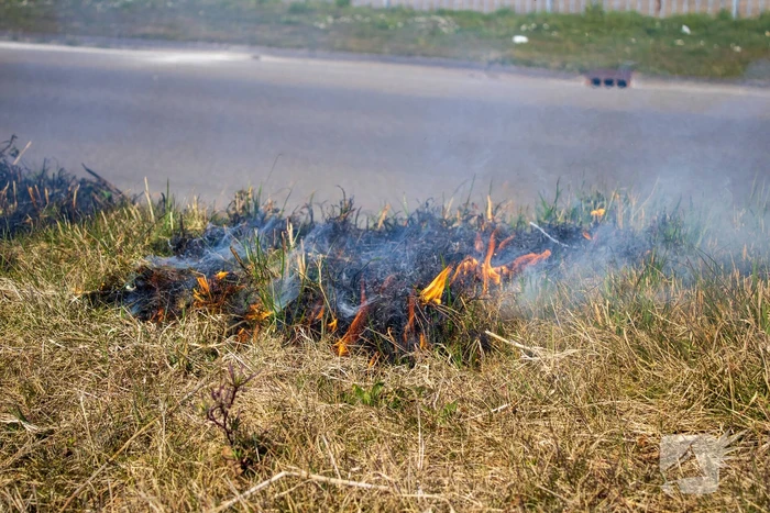 Omstanders blussen bermbrand
