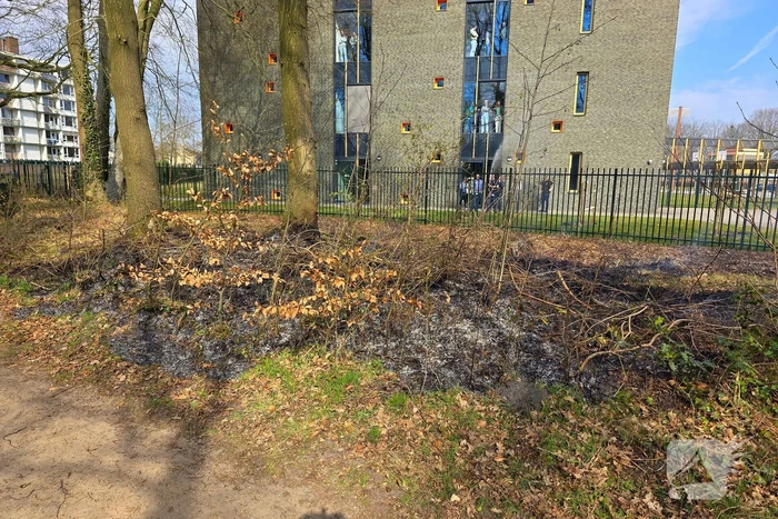 Tientallen meters bosschage in brand