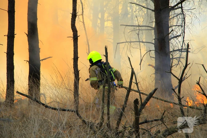 Zeer grote brand in de Laurabossen