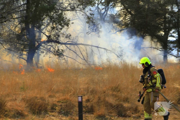 Zeer grote brand in de Laurabossen