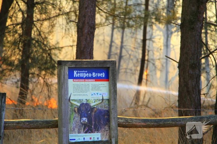Zeer grote brand in de Laurabossen