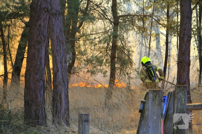 Zeer grote brand in de Laurabossen