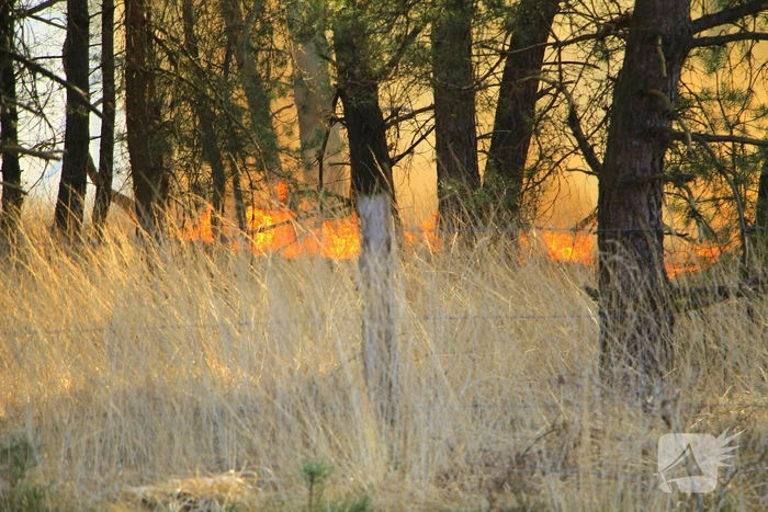 Zeer grote brand in de Laurabossen