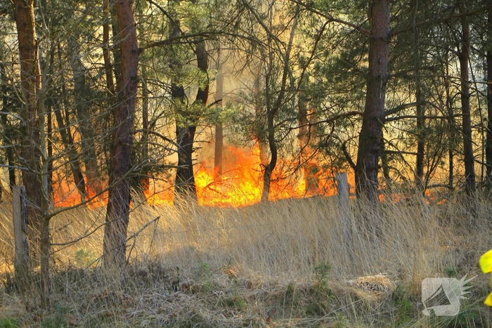 Zeer grote brand in de Laurabossen