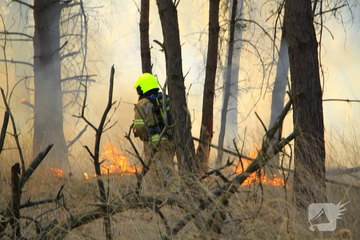 Zeer grote brand in de Laurabossen