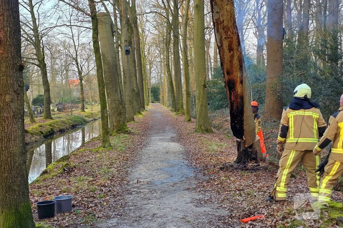 Brand in holle boom zorgt voor flinke rookontwikkeling