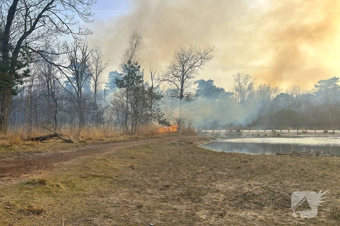 brand koninginnelaan vught