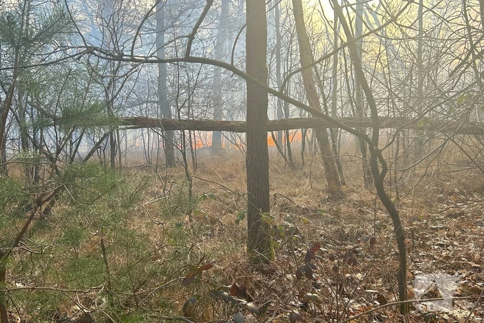 Brandweer strijdt tegen natuurbrand