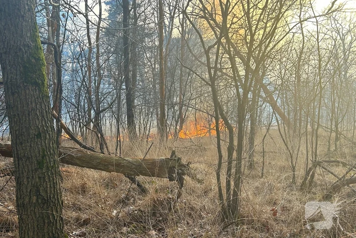 Brandweer strijdt tegen natuurbrand
