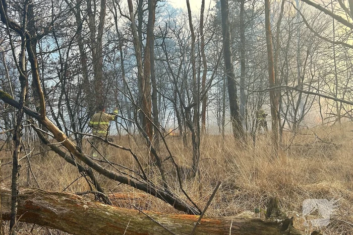 Brandweer strijdt tegen natuurbrand