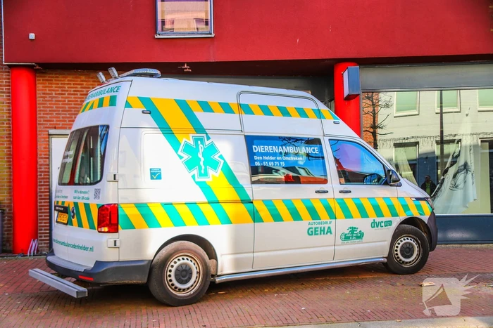Duif gered uit benarde positie achter glazen balustrade