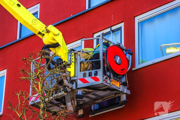 Duif gered uit benarde positie achter glazen balustrade