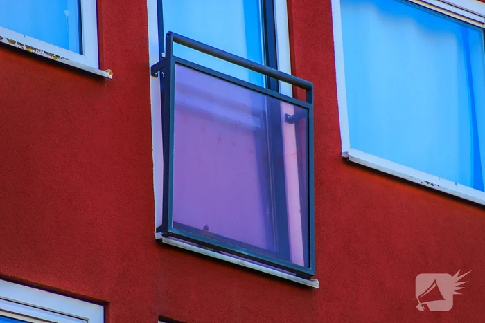 Duif gered uit benarde positie achter glazen balustrade