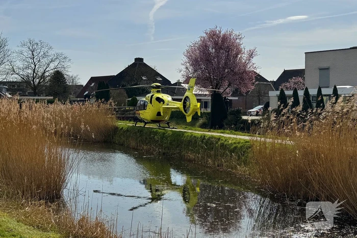nieuws koekoekstraat hedel