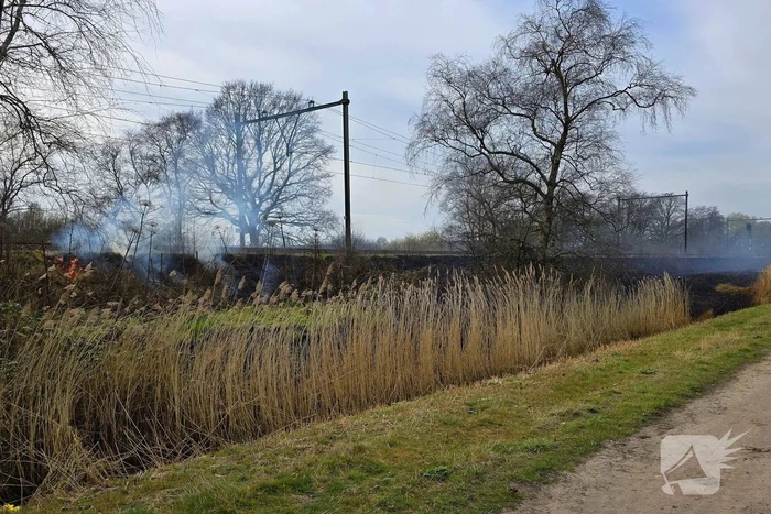 Bermbrand breid zich tientallen meters uit