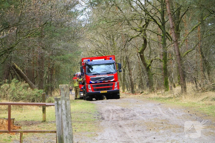 Regen helpt bij blussen van bosbrand welke natuurfotograaf opmerkte