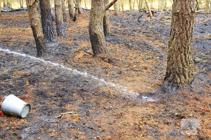 Regen helpt bij blussen van bosbrand welke natuurfotograaf opmerkte
