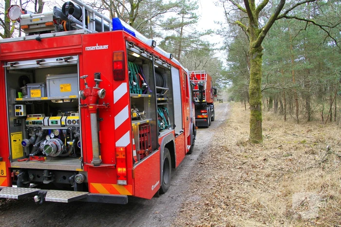 Regen helpt bij blussen van bosbrand welke natuurfotograaf opmerkte