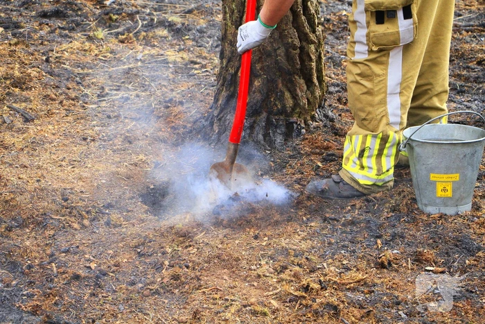 Regen helpt bij blussen van bosbrand welke natuurfotograaf opmerkte