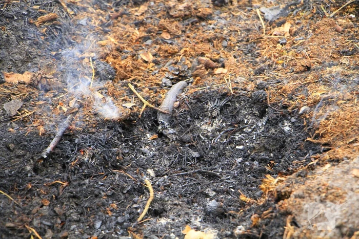 Regen helpt bij blussen van bosbrand welke natuurfotograaf opmerkte