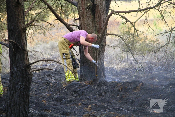 Regen helpt bij blussen van bosbrand welke natuurfotograaf opmerkte
