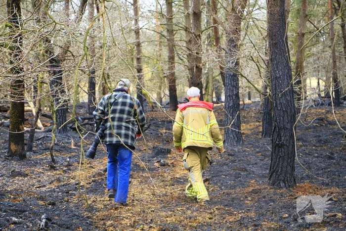 Regen helpt bij blussen van bosbrand welke natuurfotograaf opmerkte